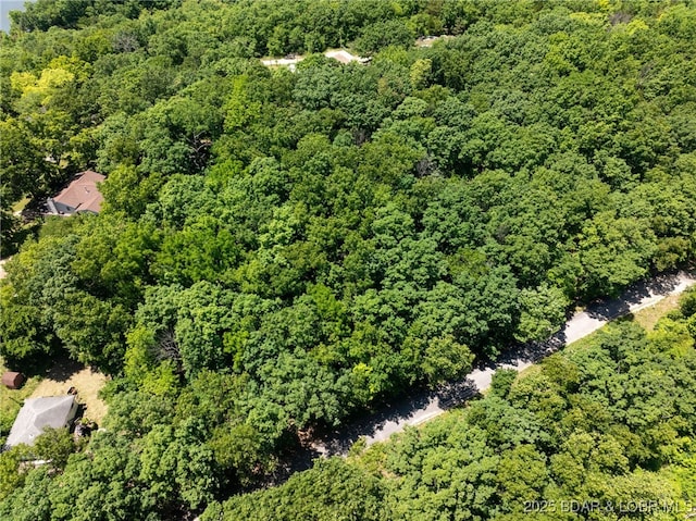 Island View Ln, Camdenton, MO 65020