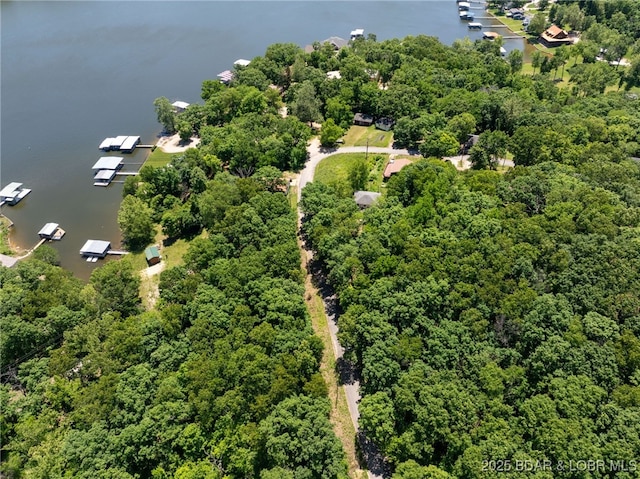 Island View Ln, Camdenton, MO 65020