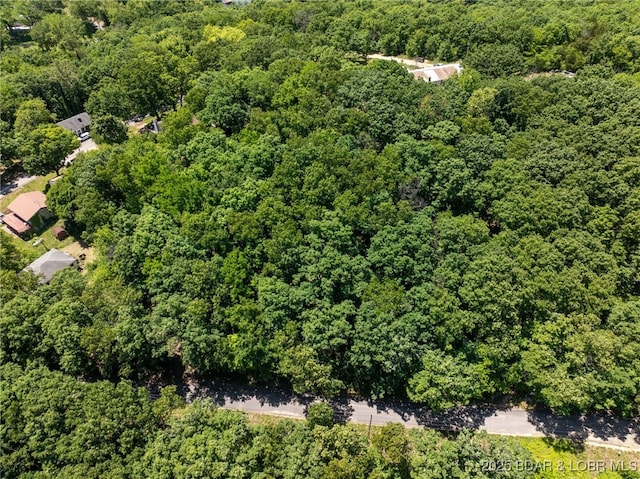 Island View Ln, Camdenton, MO 65020