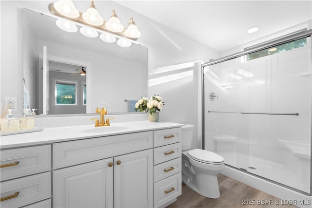 584 Black Hawk Dr, Lake Ozark, MO 65049 - full bath with vanity, a stall shower, wood finished floors, and toilet