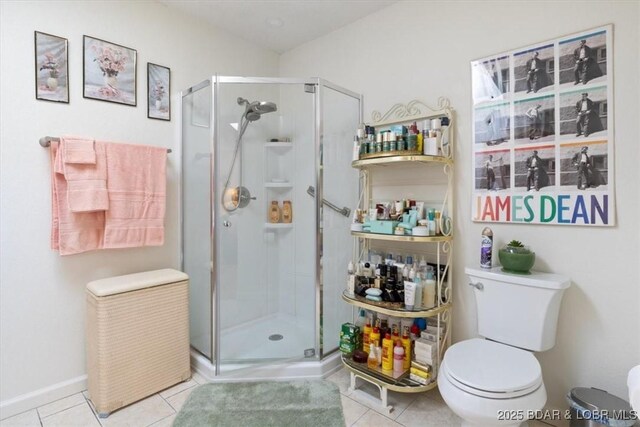 169 Kaanapali Dr, Roach, MO 65787 - full bathroom featuring a shower stall, toilet, and tile patterned flooring