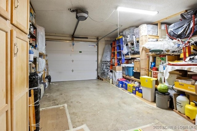 169 Kaanapali Dr, Roach, MO 65787 - view of garage
