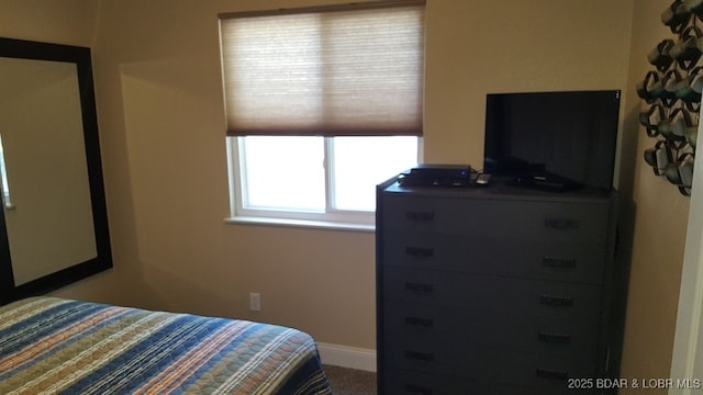 1481 Ledges Dr Unit 221, Osage Beach, MO 65065 - bedroom featuring baseboards and carpet floors