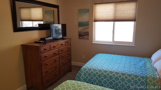 1481 Ledges Dr Unit 221, Osage Beach, MO 65065 - bedroom with multiple windows, baseboards, and dark colored carpet