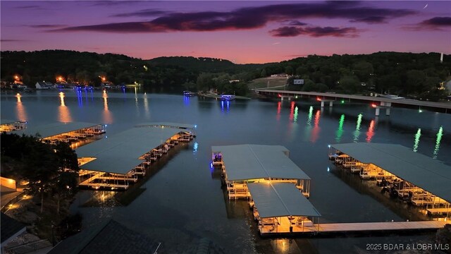 364 Cedar Heights Dr Unit 2D, Camdenton, MO 65020 - water view featuring a floating dock