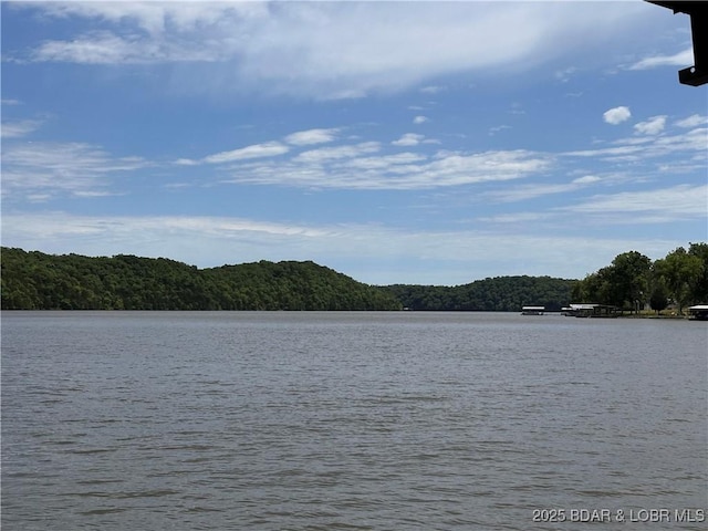 9 Point Plz, Edwards, MO 65326 - photo 19