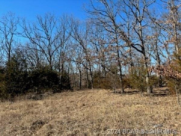 TBD Buckingham Dr, Camdenton, MO 65020