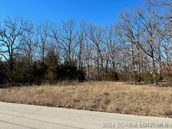 TBD Buckingham Dr, Camdenton, MO 65020