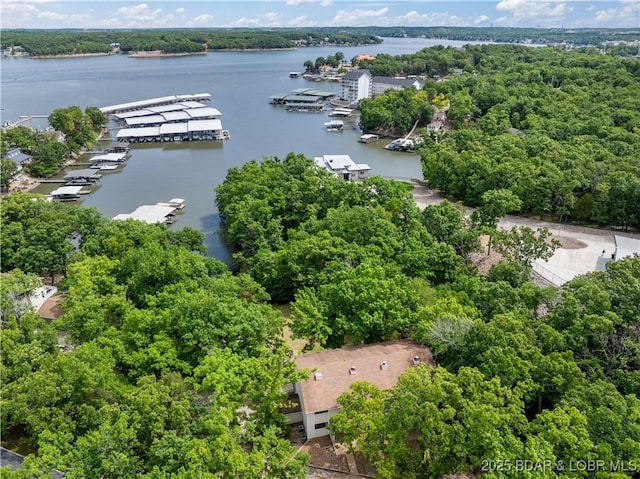 1318 Evergreen Ln Unit 4, Osage Beach, MO 65065 - aerial view of a large body of water