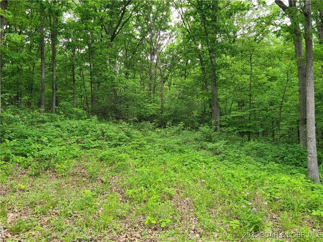 31025 Broken Circle Rd, Stover, MO 65078 - view of wooded area