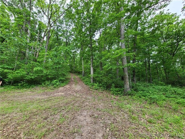 31025 Broken Circle Rd, Stover, MO 65078 - view of tree filled area