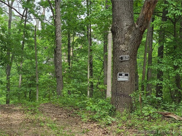 31025 Broken Circle Rd, Stover, MO 65078 - view of woods