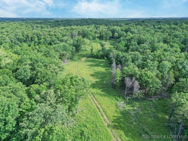 TBD Highway 17, Iberia, MO 65486