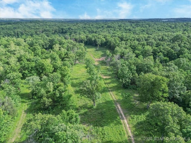 TBD Highway 17, Iberia, MO 65486