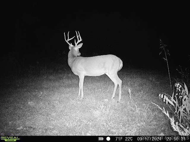 TBD Highway 17, Iberia, MO 65486