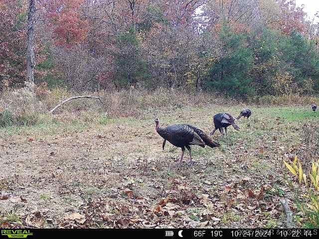 TBD Highway 17, Iberia, MO 65486
