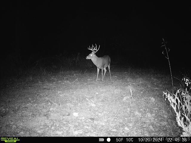 TBD Highway 17, Iberia, MO 65486