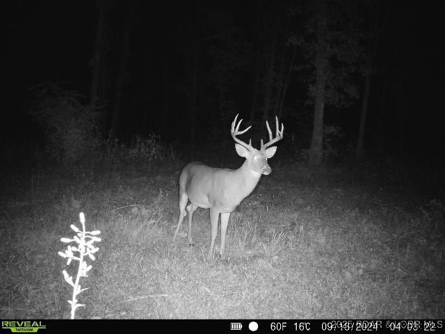 TBD Highway 17, Iberia, MO 65486