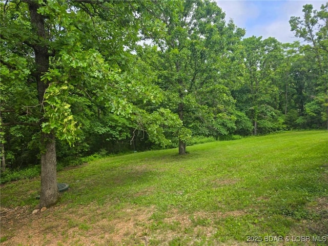18400 Alum Springs Rd, Versailles, MO 65084 - view of grassy yard with a wooded view