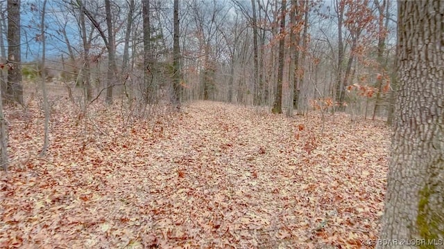TRACT9 Vaughan Rd, Eldon, MO 65026