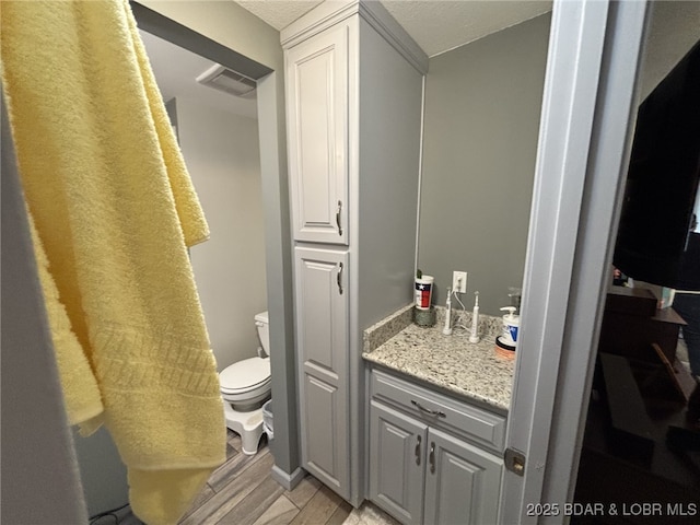 406 Staley Hollow Dr, Sunrise Beach, MO 65079 - bathroom with toilet, vanity, and wood finished floors