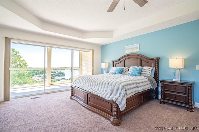 4066 Horseshoe Bend Pkwy Unit 3A, Lake Ozark, MO 65049 - bedroom featuring carpet floors, access to exterior, multiple windows, and a tray ceiling