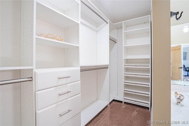 4066 Horseshoe Bend Pkwy Unit 3A, Lake Ozark, MO 65049 - walk in closet with dark colored carpet