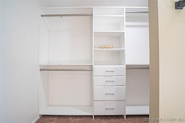 4066 Horseshoe Bend Pkwy Unit 3A, Lake Ozark, MO 65049 - view of closet