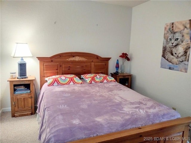 2500 Bay Point Ln Unit 342, Osage Beach, MO 65020 - bedroom featuring light carpet and baseboards