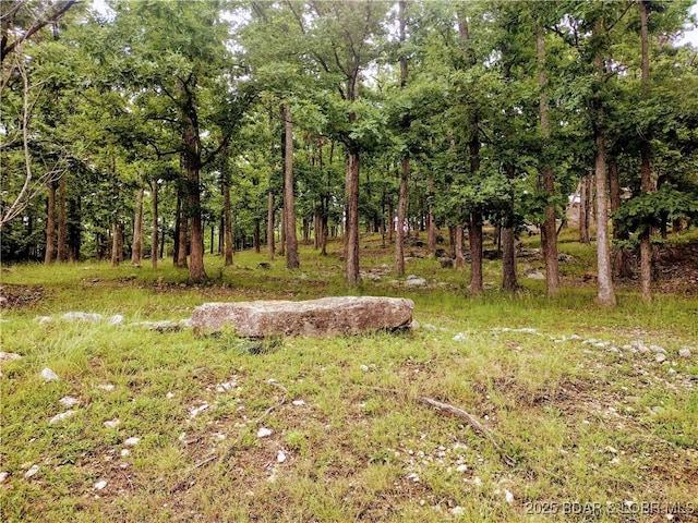 2500 Bay Point Ln Unit 342, Osage Beach, MO 65020 - view of yard