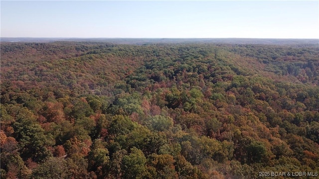 Adkins Rd, Climax Springs, MO 65324