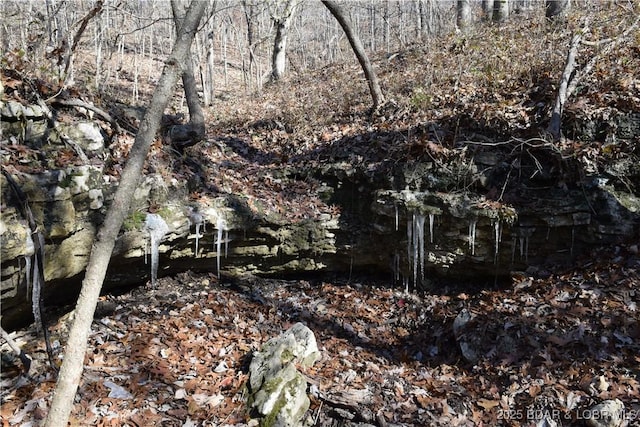 Adkins Rd, Climax Springs, MO 65324