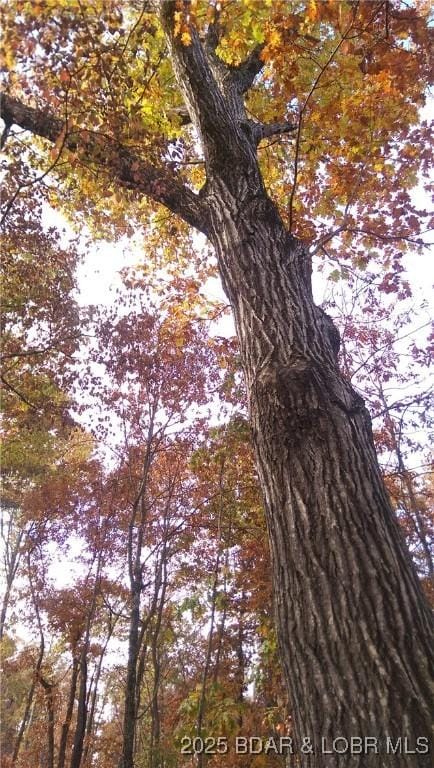 Adkins Rd, Climax Springs, MO 65324