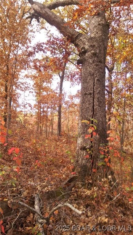 Adkins Rd, Climax Springs, MO 65324