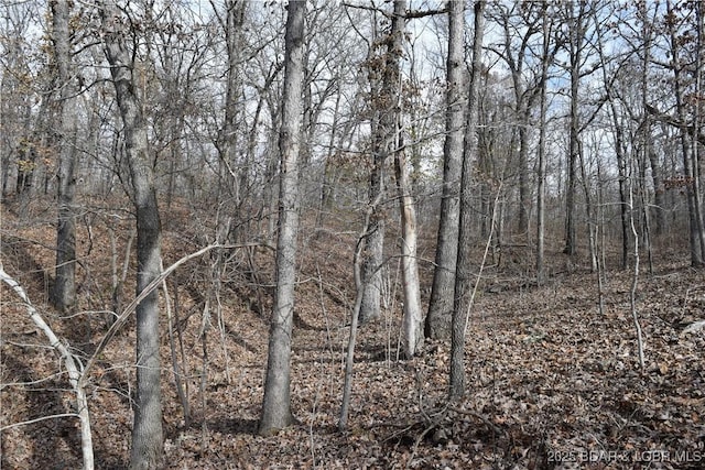 Adkins Rd, Climax Springs, MO 65324