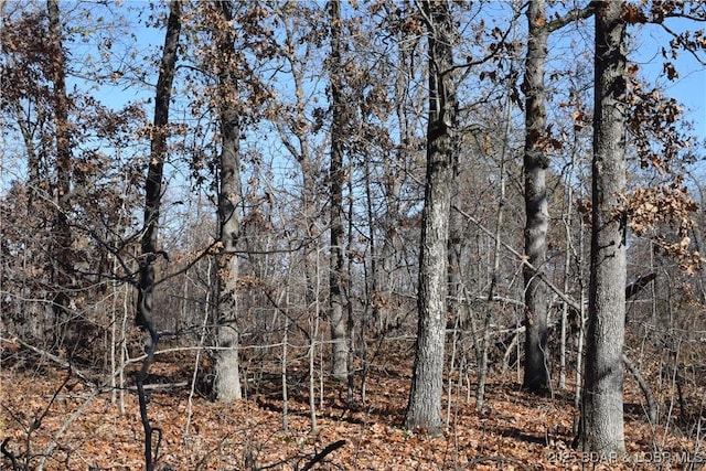 Adkins Rd, Climax Springs, MO 65324