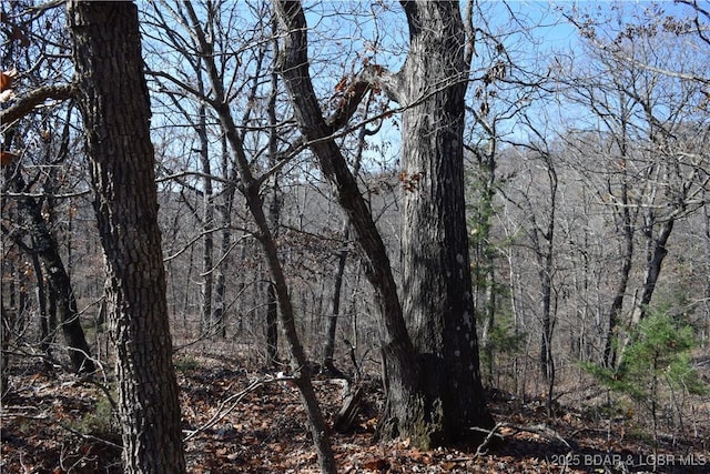 Adkins Rd, Climax Springs, MO 65324