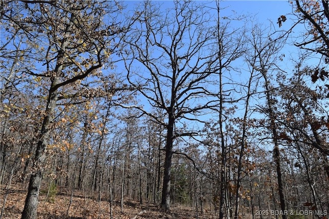 Adkins Rd, Climax Springs, MO 65324