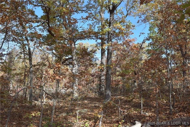 Adkins Rd, Climax Springs, MO 65324