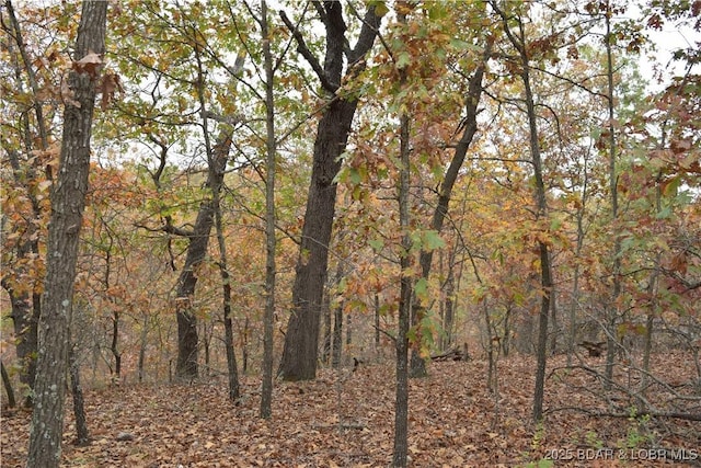 Adkins Rd, Climax Springs, MO 65324