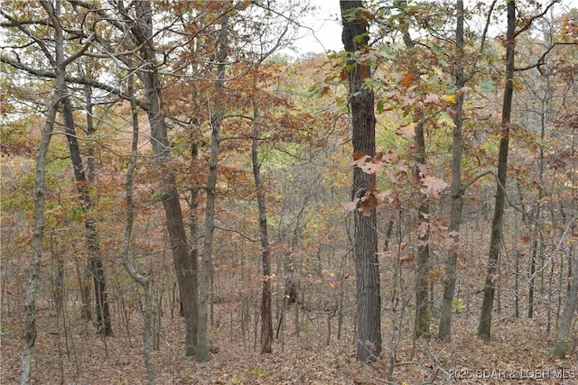 Adkins Rd, Climax Springs, MO 65324