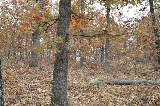 Adkins Rd, Climax Springs, MO 65324