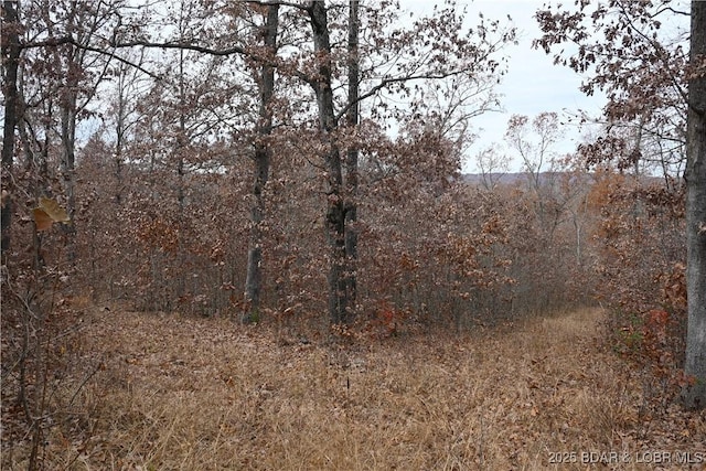 Adkins Rd, Climax Springs, MO 65324