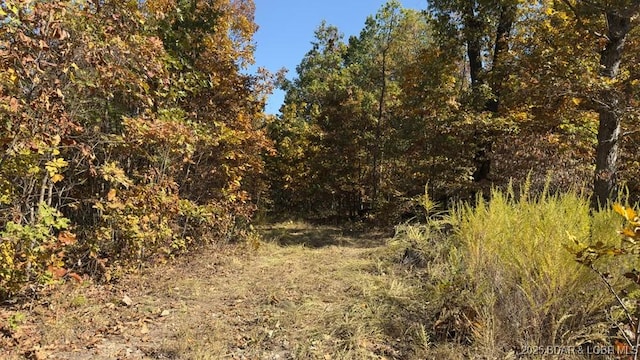Adkins Rd, Climax Springs, MO 65324