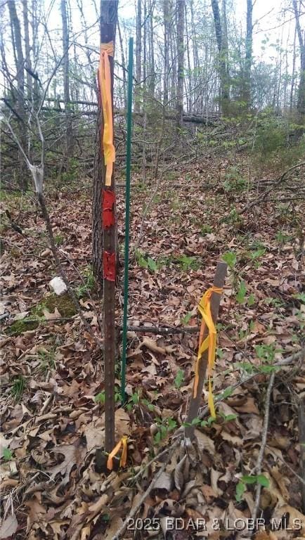 Adkins Rd, Climax Springs, MO 65324