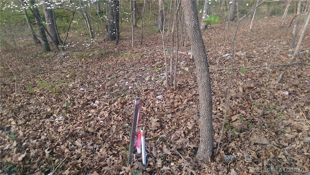 Adkins Rd, Climax Springs, MO 65324