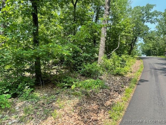 Adkins Rd, Climax Springs, MO 65324