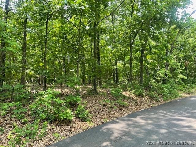 Adkins Rd, Climax Springs, MO 65324