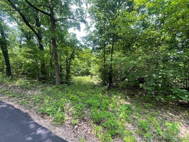 Adkins Rd, Climax Springs, MO 65324