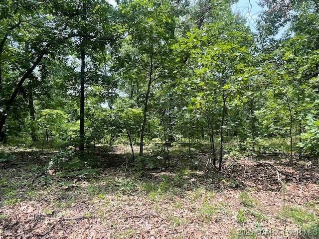 Adkins Rd, Climax Springs, MO 65324